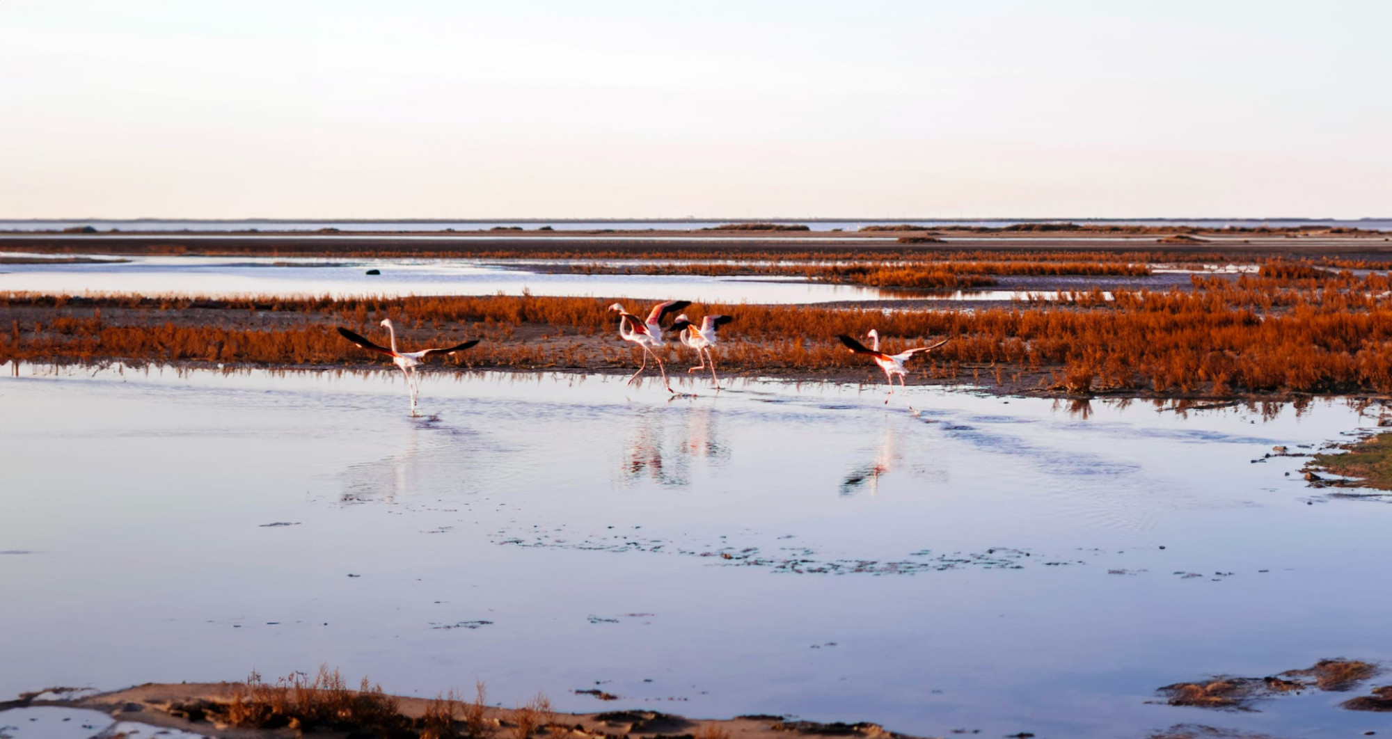 CROCIERA SUL RODANO DALLA BORGOGNA ALLA CAMARGUE (FRANCIA)