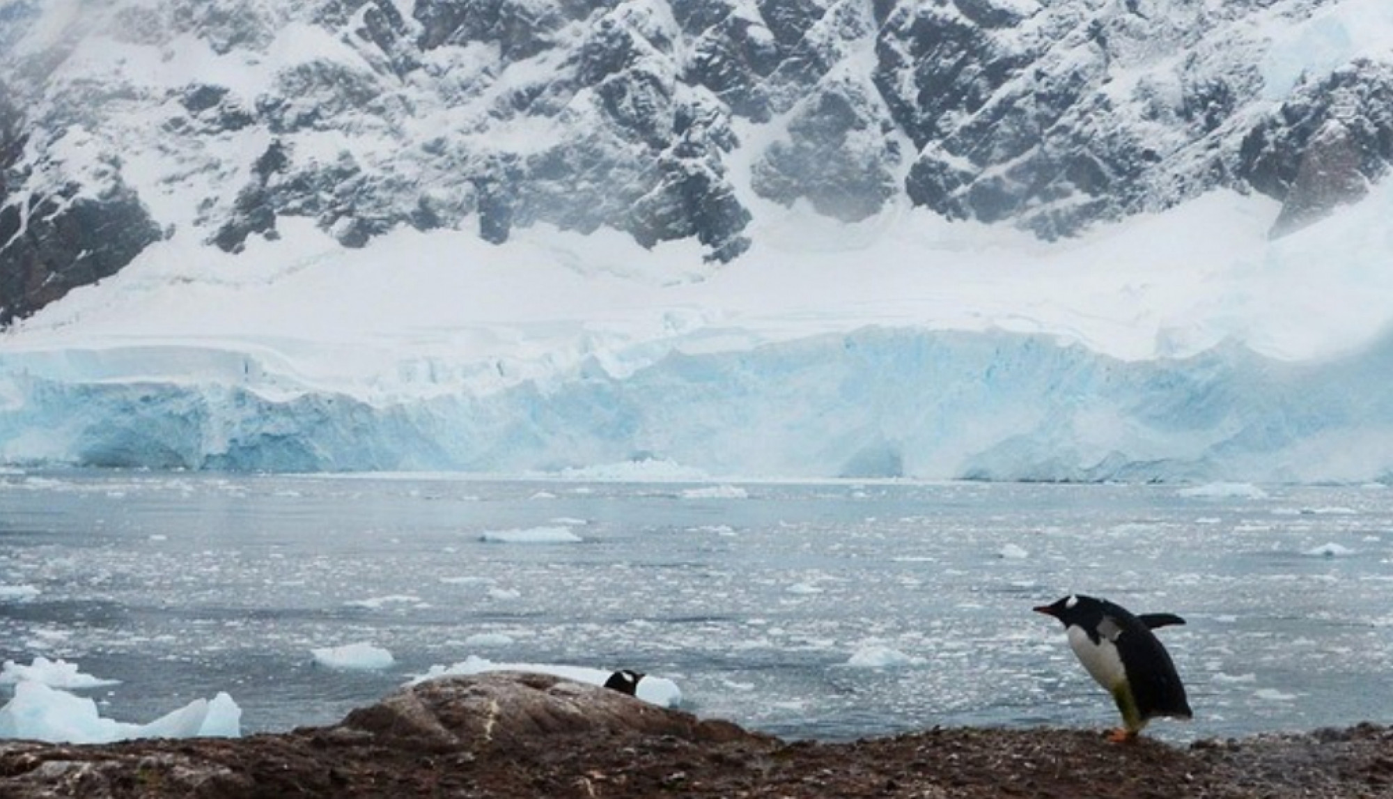 TOUR ARGENTINA  E PATAGONIA