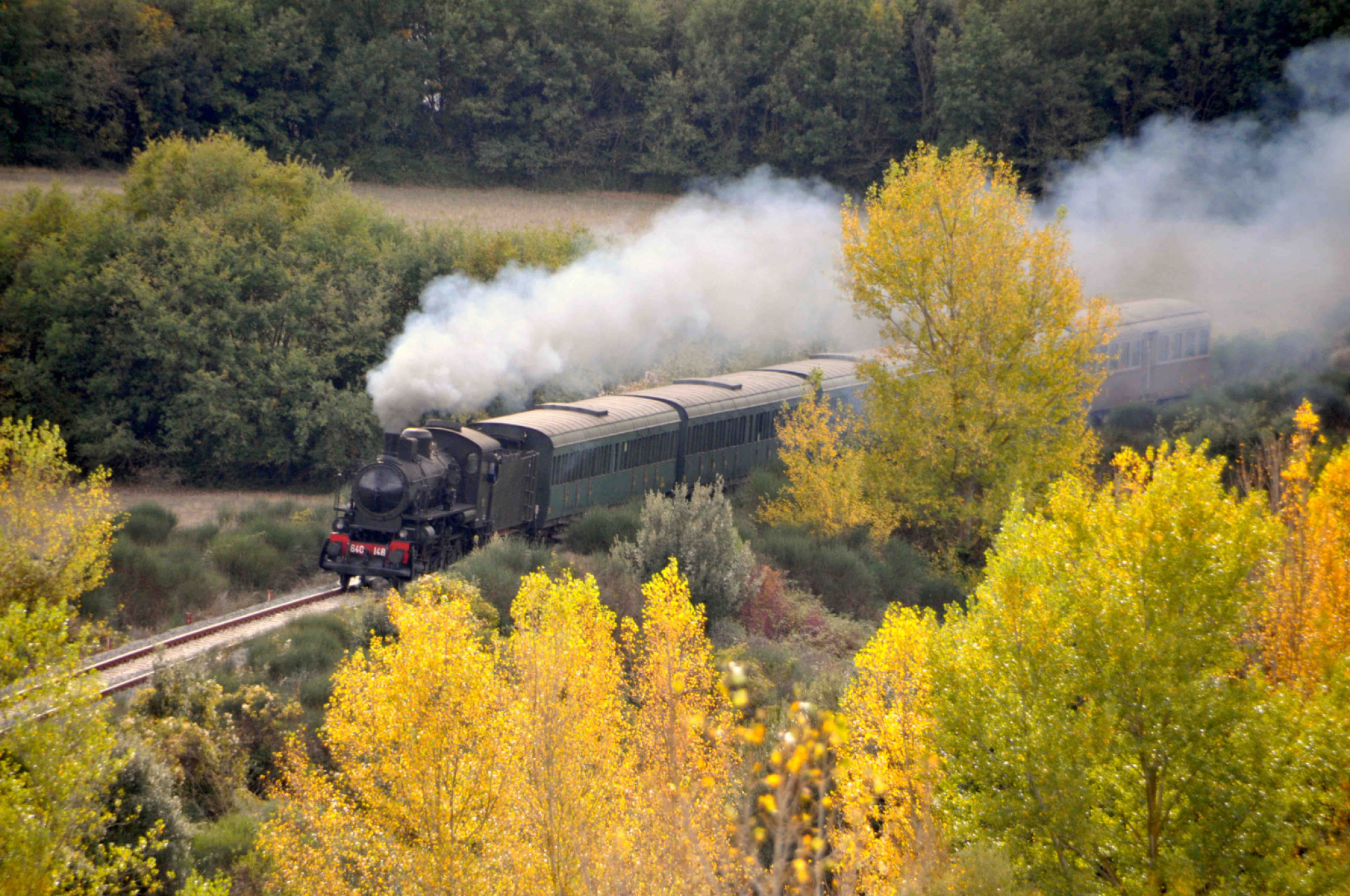 VIAGGIO EVENTO TRENO A VAPORE E MOSTRA TARTUFO BIANCO IN VAL D’ORCIA (TOSCANA)
