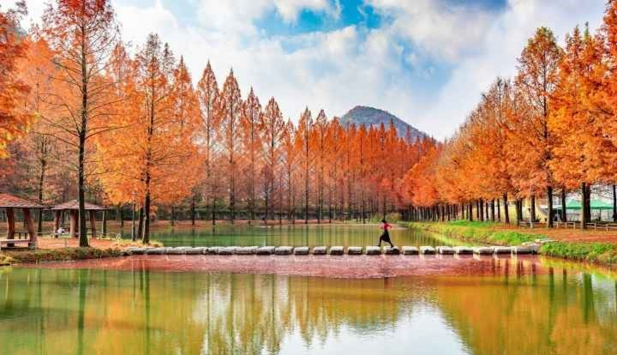 TOUR COREA DEL SUD