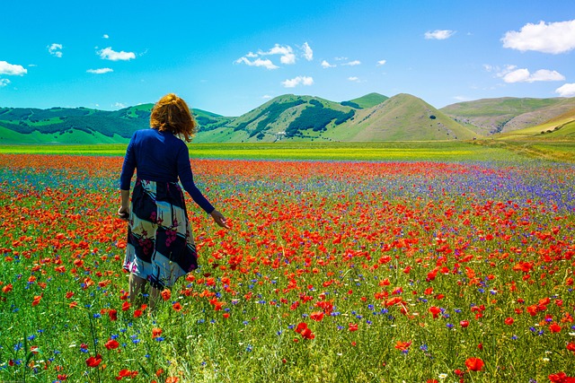 Fioritura di Castelluccio